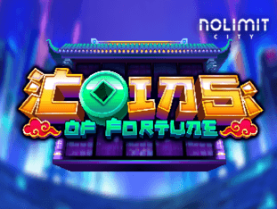 Coins Of Fortune game cover
